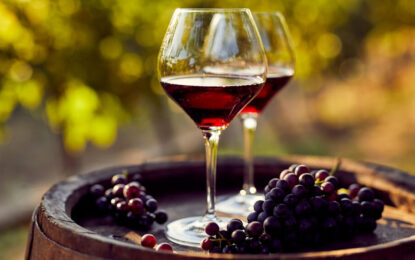 “No funcionó”: la cadena del vino pide cambios en el ‘dólar agro’