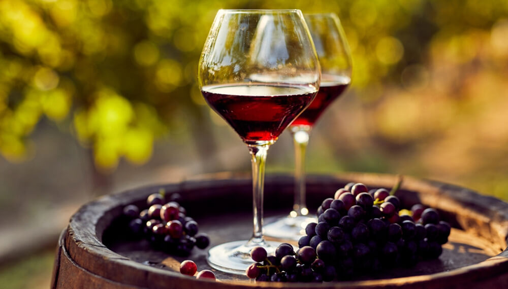 “No funcionó”: la cadena del vino pide cambios en el ‘dólar agro’