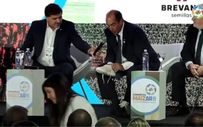 Zapatillas de maíz, para dar el primer paso en el camino del crecimiento basado en la bioeconomía
