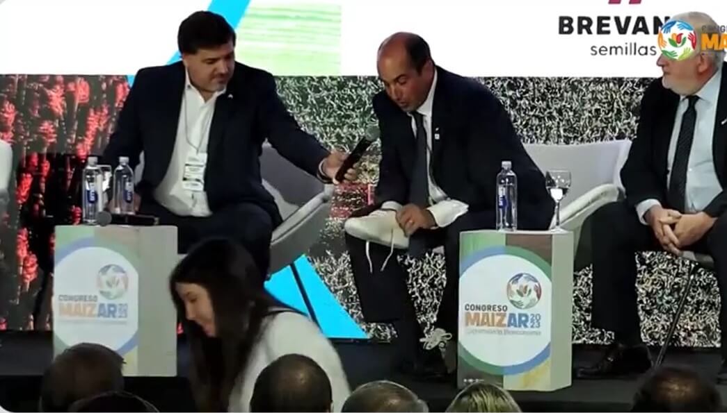 Zapatillas de maíz, para dar el primer paso en el camino del crecimiento basado en la bioeconomía
