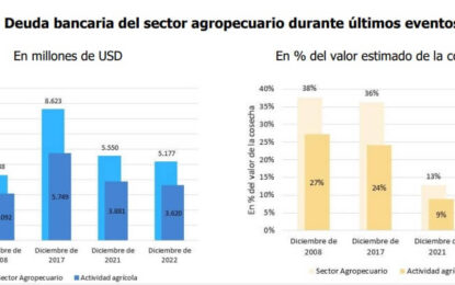 Un alivio en medio de la seca: el endeudamiento de los productores no es tan alto como en 2009