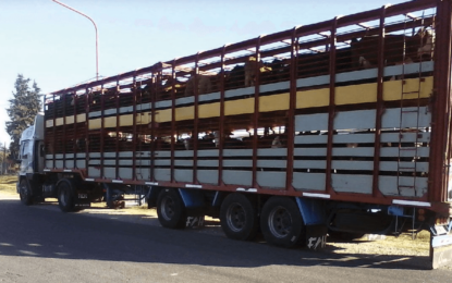 Transporte de hacienda: el Senasa suspendió la resolución duramente cuestionada por el agro