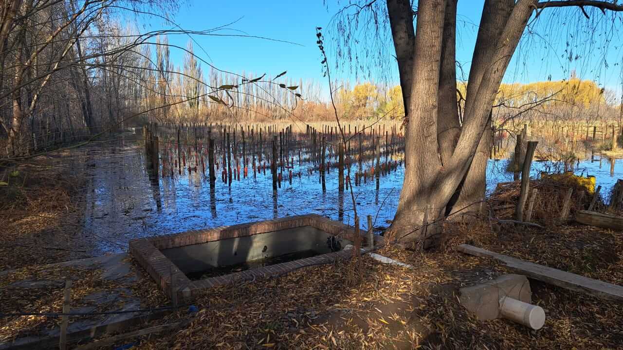 Evacuados y campos inundados: un temporal en la cuenca del río Neuquén dejó graves daños