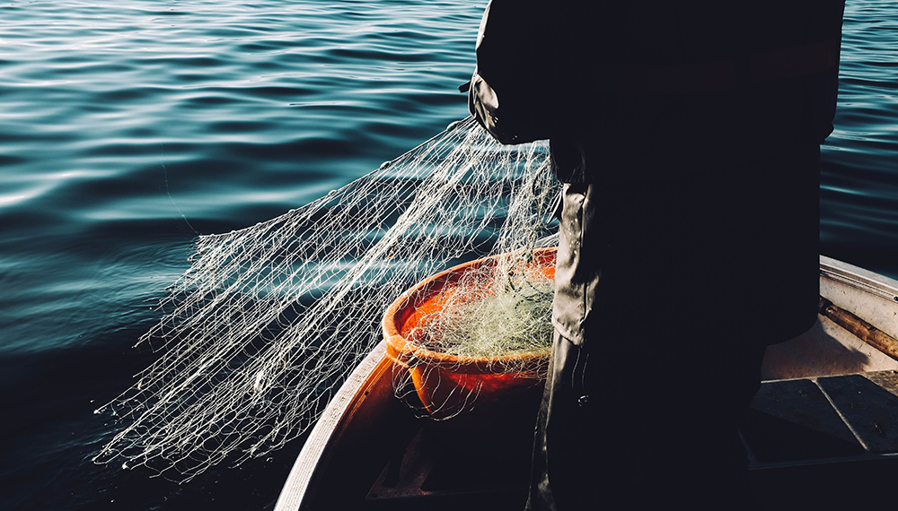 La FAO advirtió sobre las pérdidas ocasionadas por la “pesca incidental”
