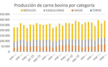 Sobra carne: en cinco meses se faenaron 6 millones de bovinos, un 12% más que hace un año