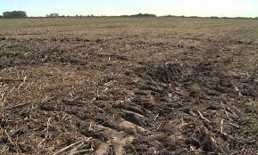 La compactación del suelo, un enemigo silencioso en el lote que se lleva un 15% del rinde