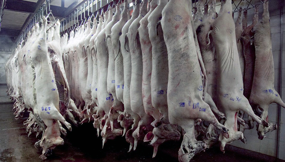 Las carnes, la excepción a la regla inflacionaria: “La gente no tiene plata”