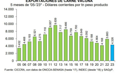 La hacienda sigue por detrás de la inflación: el kilo vivo subió solo 2% en junio