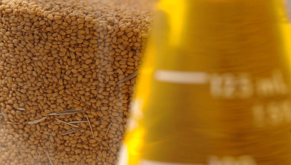 Agronegocios: dos gigantes globales compraron una empresa argentina especializada en camelina