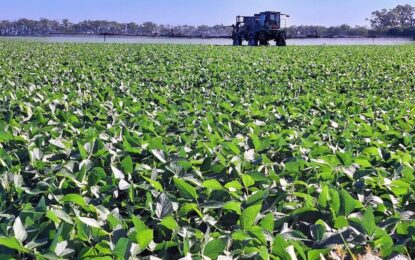Preocupan aumentos de precio y escasez de oferta en insumos para el agro