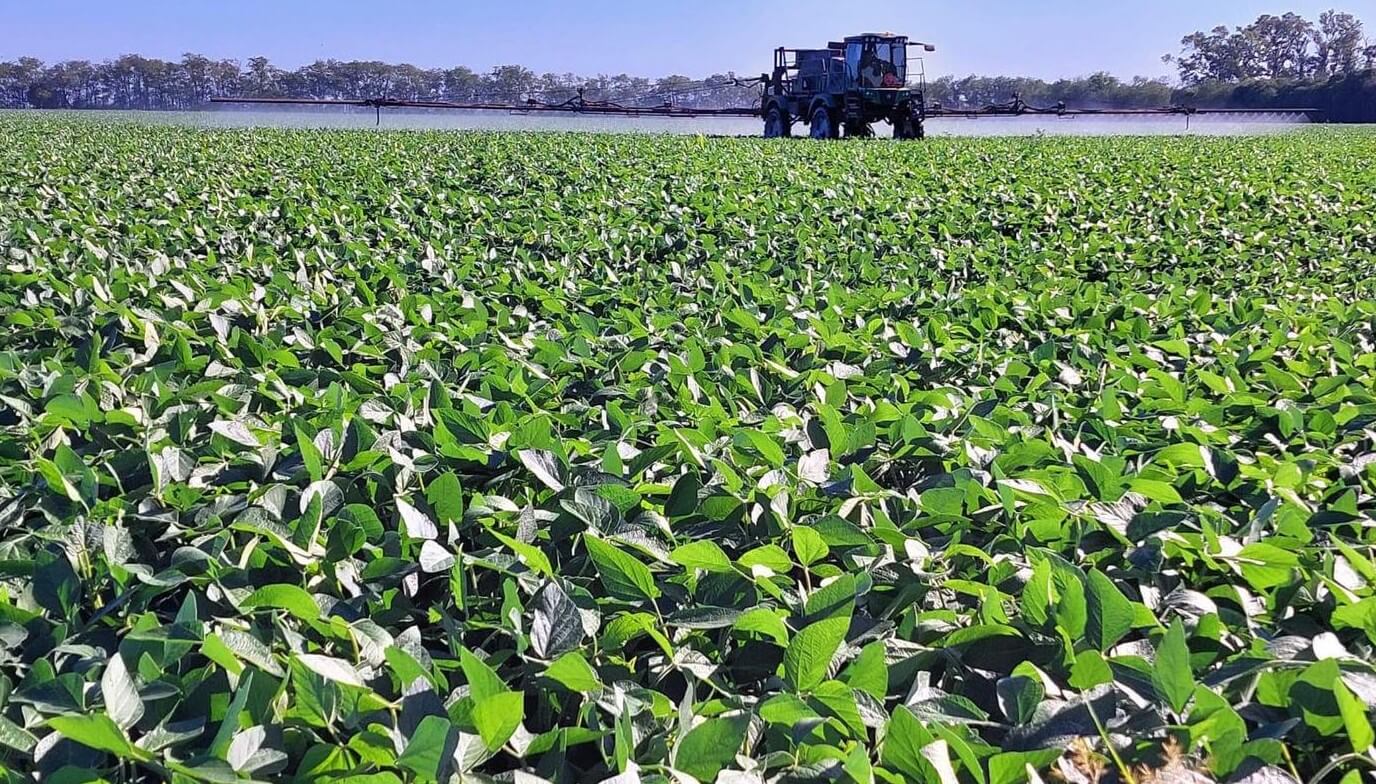 Preocupan aumentos de precio y escasez de oferta en insumos para el agro
