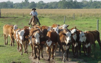 Acuerdan un aumento salarial para trabajadores rurales: 26%, retroactivo a julio