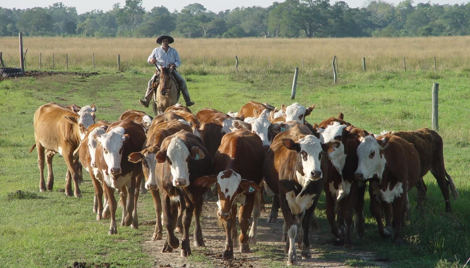 Acuerdan un aumento salarial para trabajadores rurales: 26%, retroactivo a julio