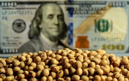 La soja copió la devaluación y se pagó hasta $ 127.000 la tonelada
