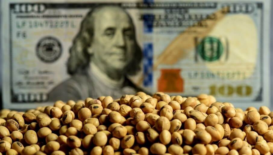 La soja copió la devaluación y se pagó hasta $ 127.000 la tonelada