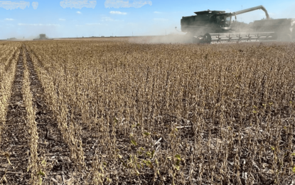 El daño de la sequía: el PBI del agro tuvo su mayor caída en 14 años