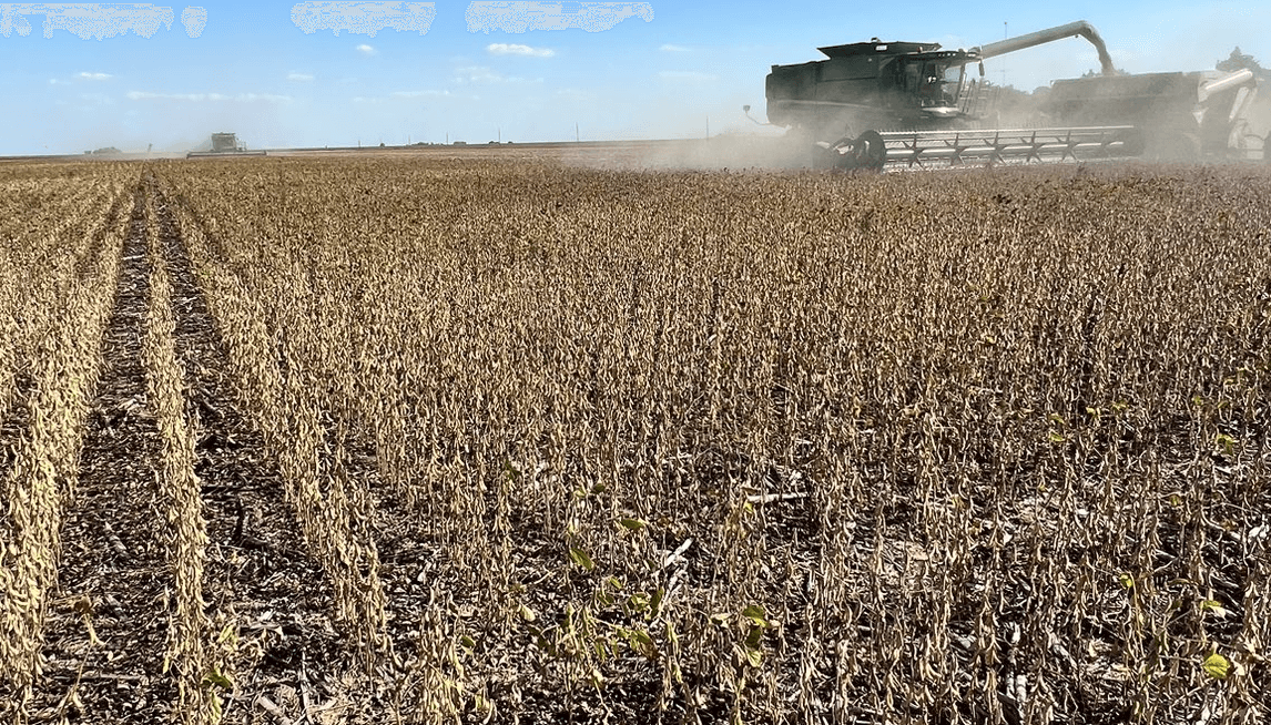 El daño de la sequía: el PBI del agro tuvo su mayor caída en 14 años