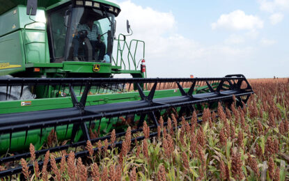 El sorgo también cerró una campaña complicada por la sequía