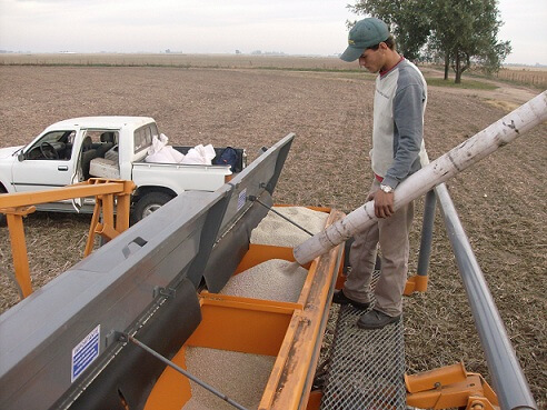 De la mano del “dólar soja”, comenzaron a repuntar las importaciones de fertilizantes