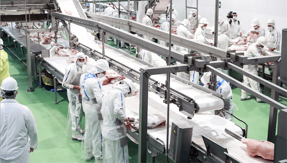 Además de China, Europa e Israel les dan vuelo a las exportaciones de carne