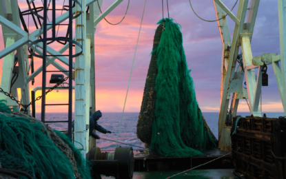 La industria de la pesca suma más trazabilidad para fortalecer exportaciones