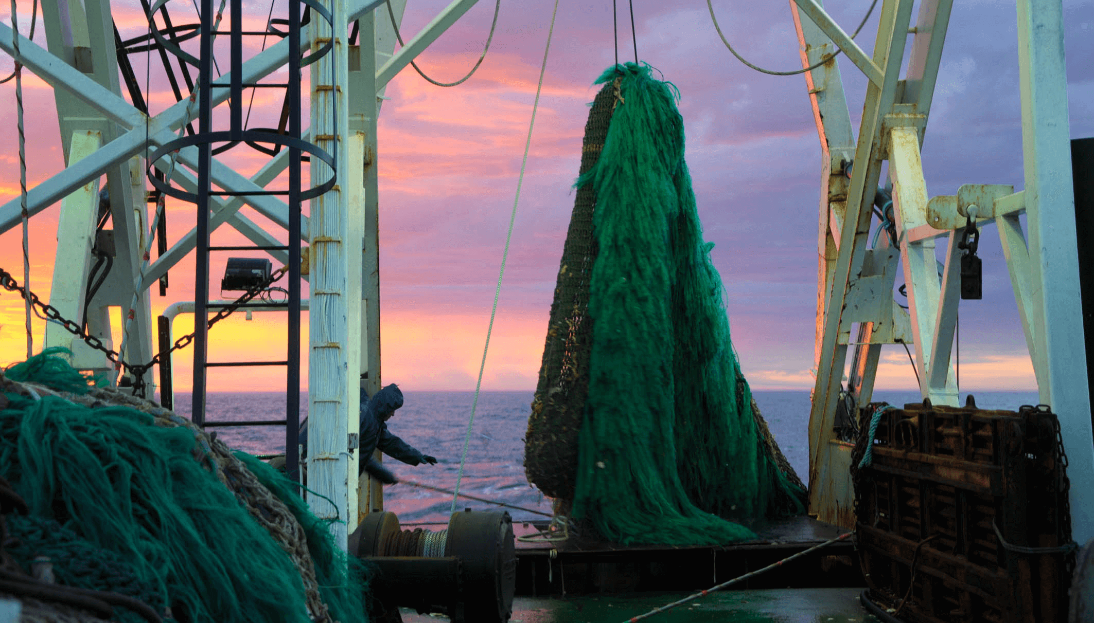 La industria de la pesca suma más trazabilidad para fortalecer exportaciones