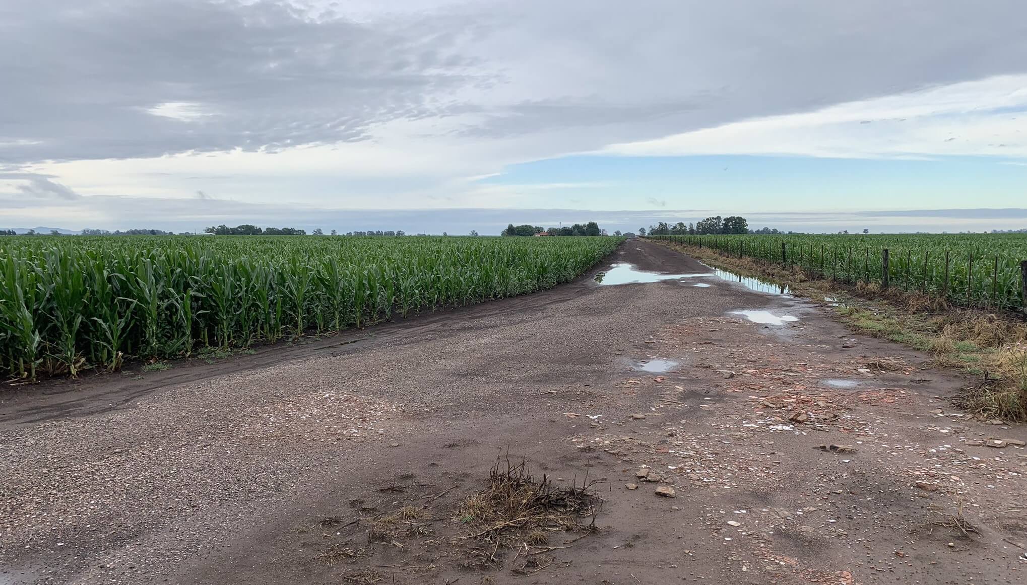 Llegaron lluvias, pero pocas: ¿seguirán? Qué dicen los pronósticos a corto y mediano plazo