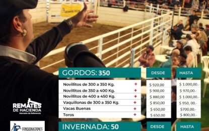 ¿Hubo presiones en Cañuelas? La hacienda ya supera los $ 1.000 por kilo y la suba llega a las carnicerías