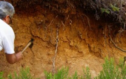 Más agricultura es igual a más carbono: la ecuación que da resultado en los suelos de la Pampa Ondulada