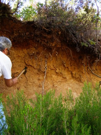 Más agricultura es igual a más carbono: la ecuación que da resultado en los suelos de la Pampa Ondulada
