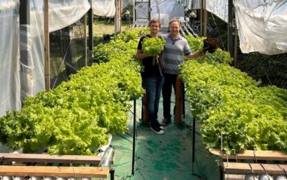 Lisandro, el agrónomo que dejó su trabajo en una gigante del agro para apostar por la hidroponia