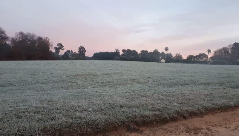 Noviembre comenzó con vientos polares y temperaturas bajo lo normal en gran parte del país