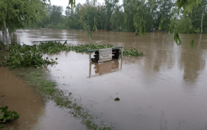 Inundaciones: piden medidas de emergencia para rescatar miles de cabezas de ganado en Entre Ríos
