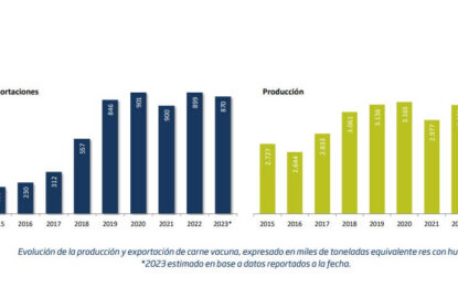 Ganados y carnes: por qué la llegada de Milei a la presidencia puede plantear un escenario favorable