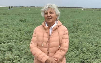 Julia, la científica que hace posible la expansión del garbanzo en Argentina