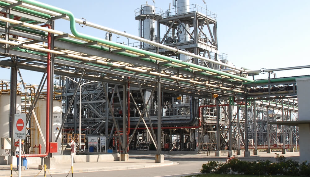 Biodiésel: exportadores apoyan la Ley Ómnibus, pero piden llevar el corte al 15% para 2026