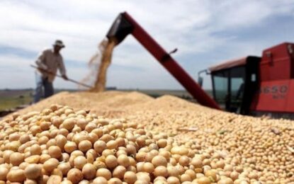 Con una mejor cosecha, Argentina volverá a dar pelea en el mundial de las commodities agrícolas
