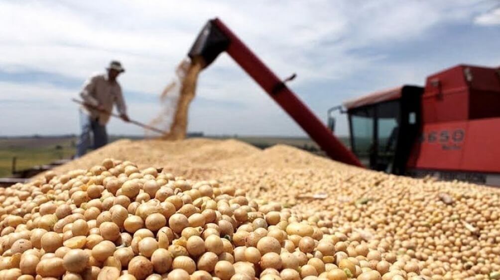 Con una mejor cosecha, Argentina volverá a dar pelea en el mundial de las commodities agrícolas