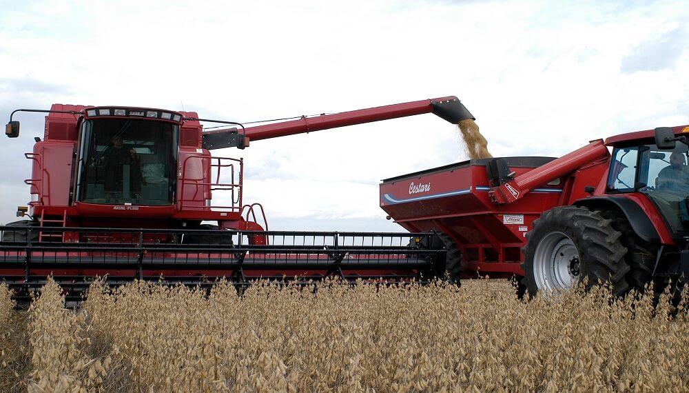 El derrumbe de precios internacionales ya genera quebrantos en algunos planteos agrícolas