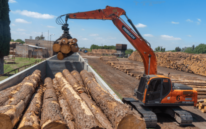 En la industria de la madera, impulsan una inversión de U$S 400 millones