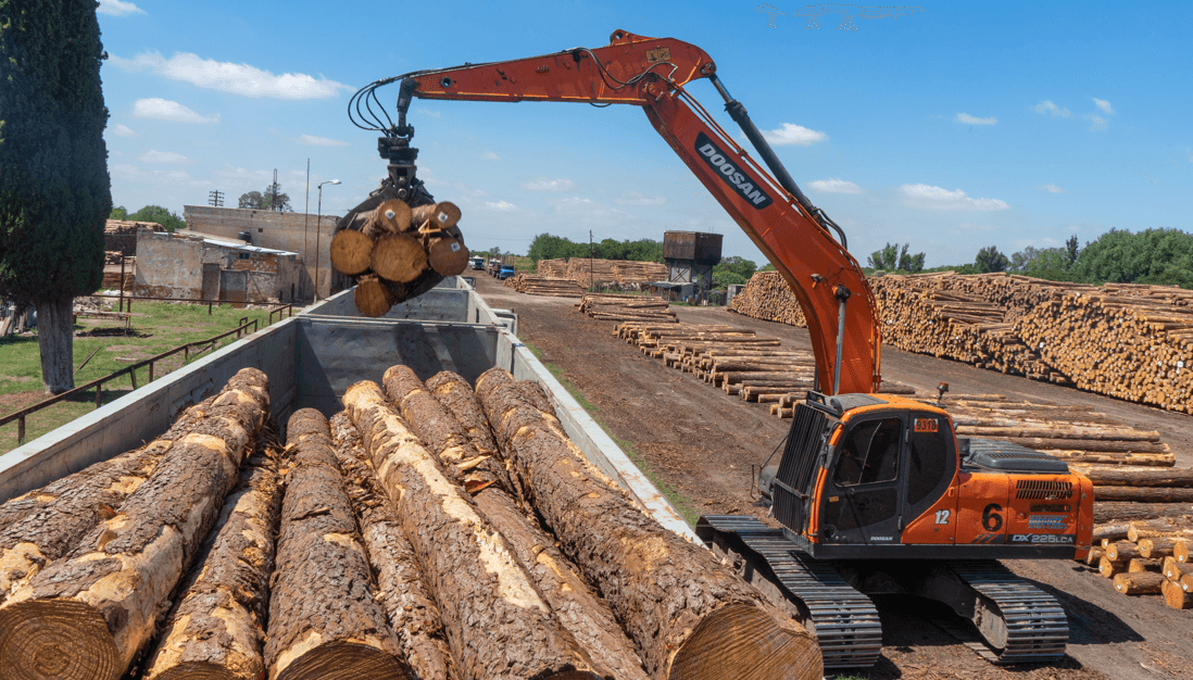 En la industria de la madera, impulsan una inversión de U$S 400 millones