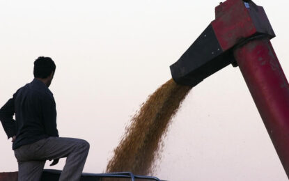 Encuesta a productores: las perspectivas de una buena cosecha refuerzan el optimismo del campo