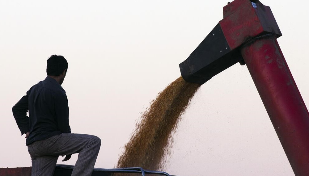 Encuesta a productores: las perspectivas de una buena cosecha refuerzan el optimismo del campo
