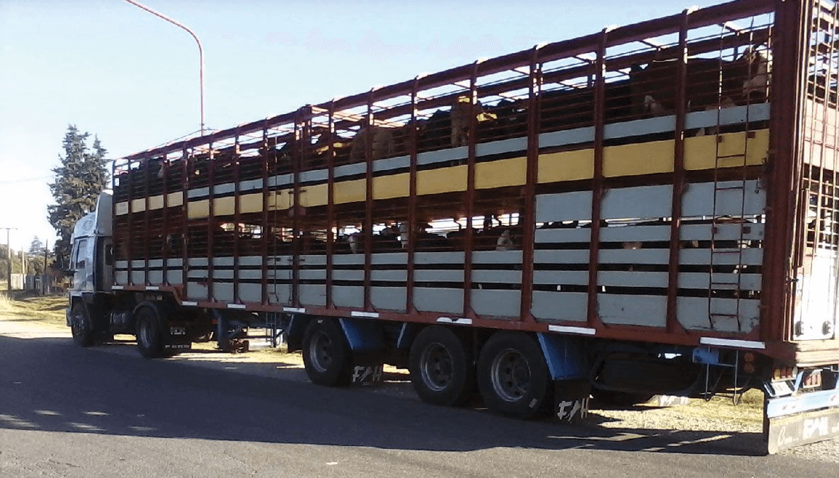 Transporte de cargas: se desacelera la inflación, pero en medio un derrumbe de la actividad