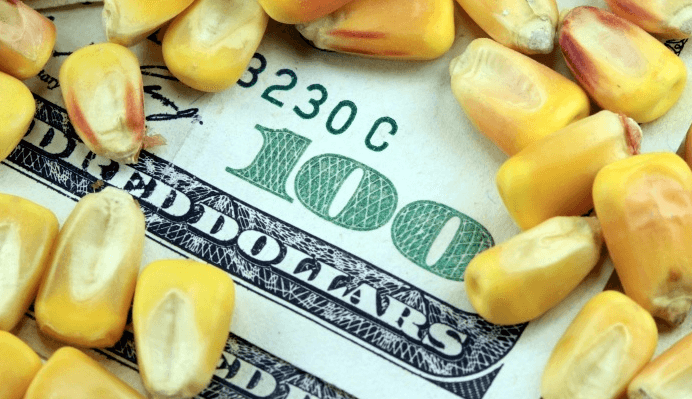 ¿A qué dólar se pagan los contratos de futuros?: otro round de los acopiadores contra los exportadores
