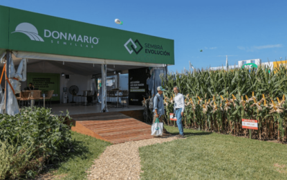 Sacudón en el mercado de semillas: GDM se quedó con el negocio de maíz y sorgo de KWS en Sudamérica