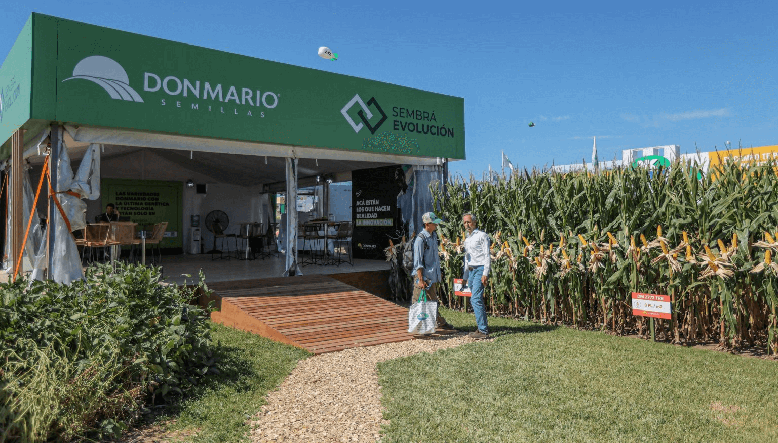 Sacudón en el mercado de semillas: GDM se quedó con el negocio de maíz y sorgo de KWS en Sudamérica