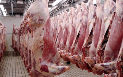 En baja: la faena bovina ya siente los faltantes de hacienda