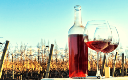 Es oficial: en Argentina se podrá “desalcoholizar” el vino y hay expectativa en las bodegas exportadoras