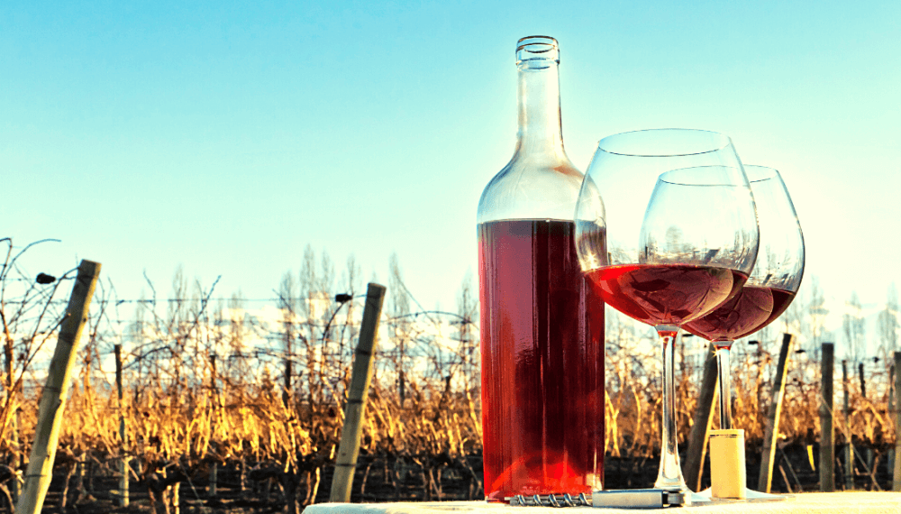 Es oficial: en Argentina se podrá “desalcoholizar” el vino y hay expectativa en las bodegas exportadoras